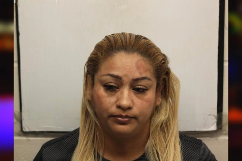 Ana Betancour Silva mugshot
