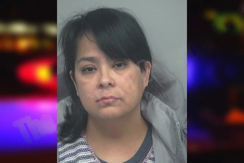 Ana Borjas Garcia Mugshots