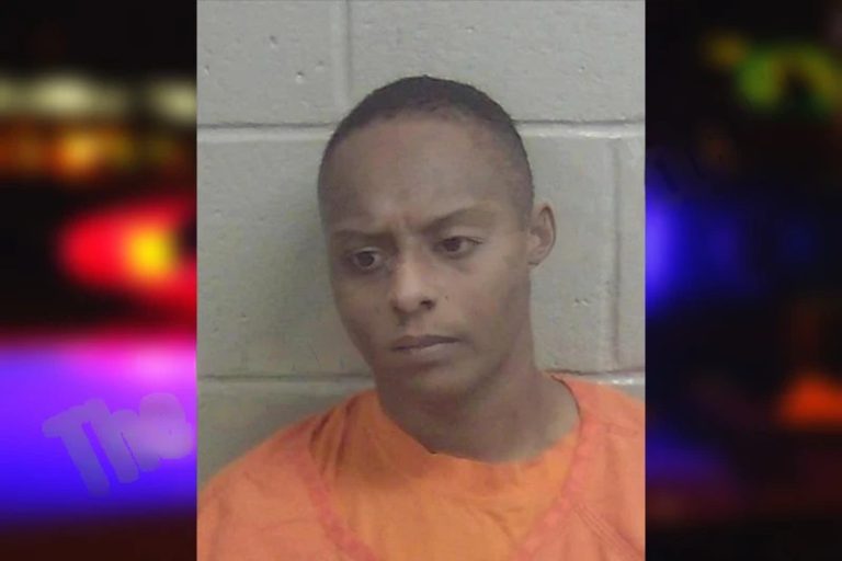 Andrea Bryant mugshot β Wayne County , Georgia Andrea Bryant