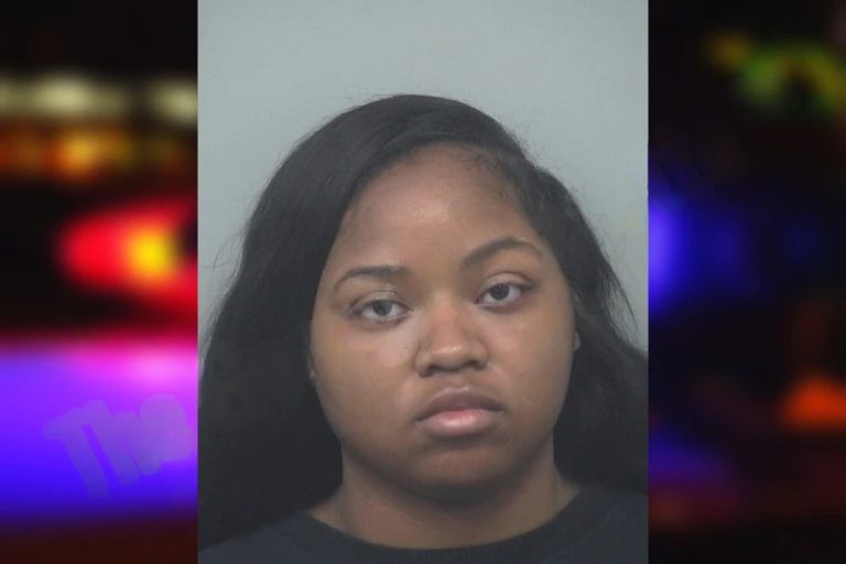 Andrianna Lee mugshot – Gwinnett County , Georgia Andrianna Lee