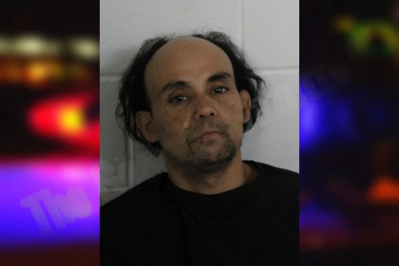 Anel Gonzalez Gonzalez Mugshots