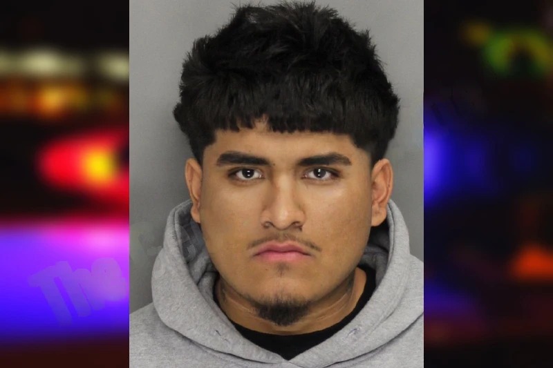 Angel Peralta mugshot – Cobb County , Georgia Angel Peralta mugshot