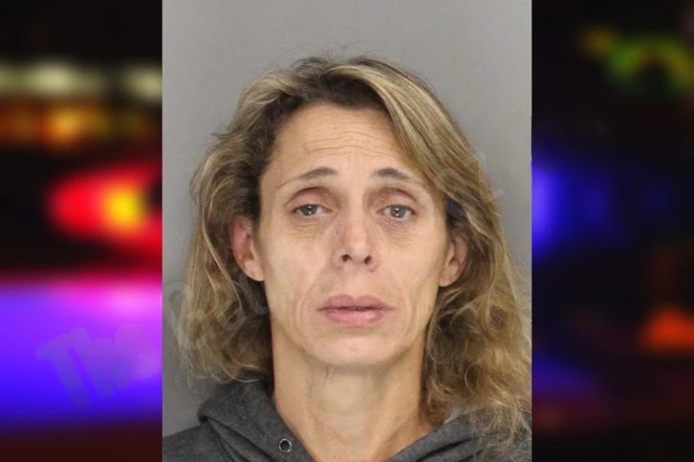 Angel Walk mugshot – Cobb County , Georgia Angel Walk