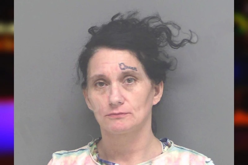 Angela Hester mugshot – Douglas County , Georgia Angela Hester mugshot