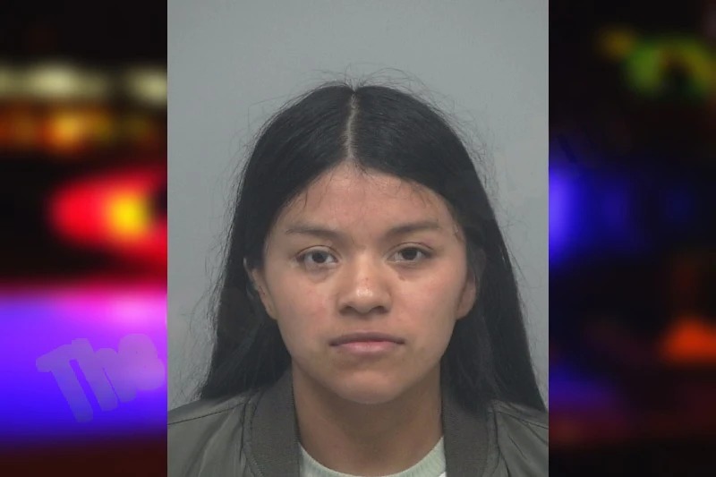 Angelica Lopez Lopez mugshot