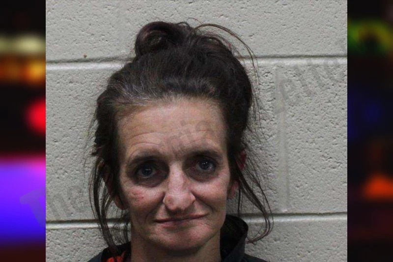 Angie Blair Mugshots