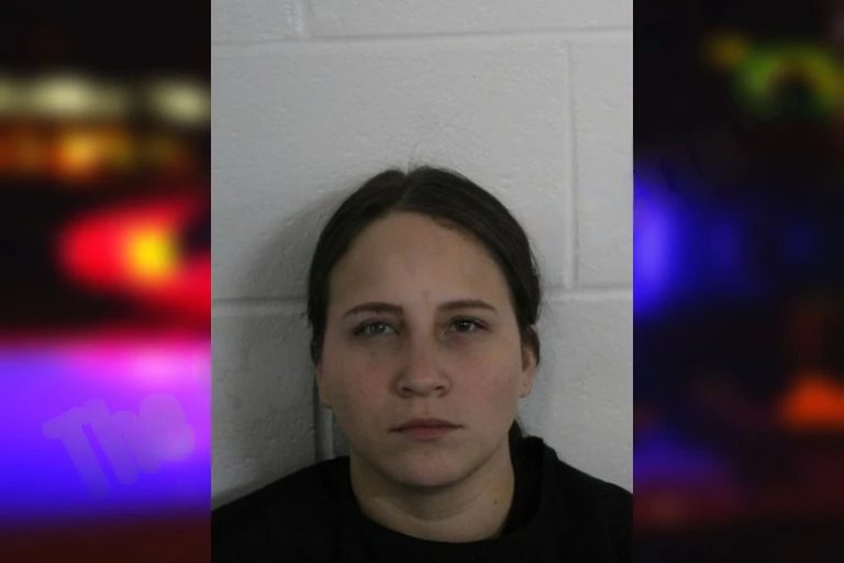 Angy Parra Roa mugshot – Floyd County , Georgia Angy Parra Roa