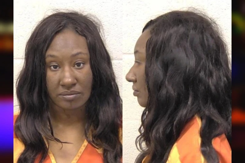 Anisa Rice Mugshots