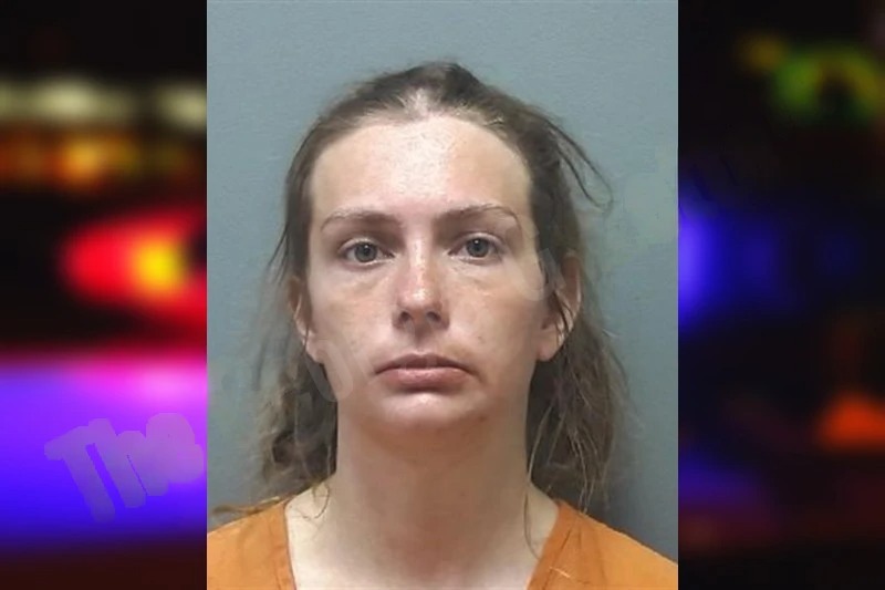 Anna Gilliam mugshot