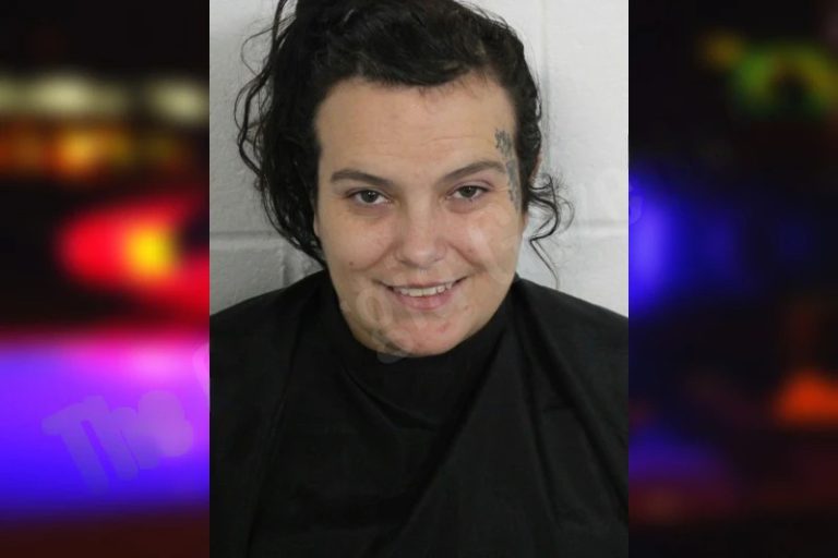 Anna Huckaby mugshot – Floyd County , Georgia Anna Huckaby