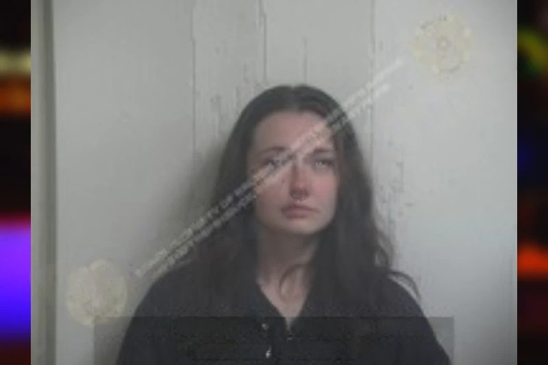 Annsley Holliday mugshot – Walton County , Georgia Annsley Holliday mugshot