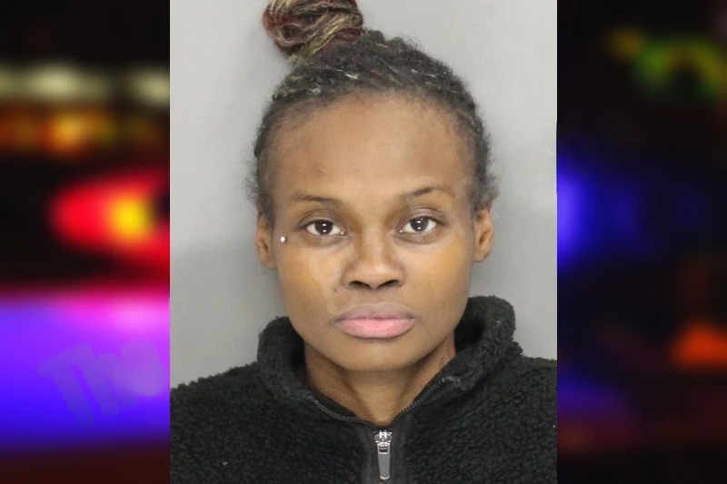 Antwonesha Anderson mugshot – Cobb County , Georgia Antwonesha Anderson mugshot