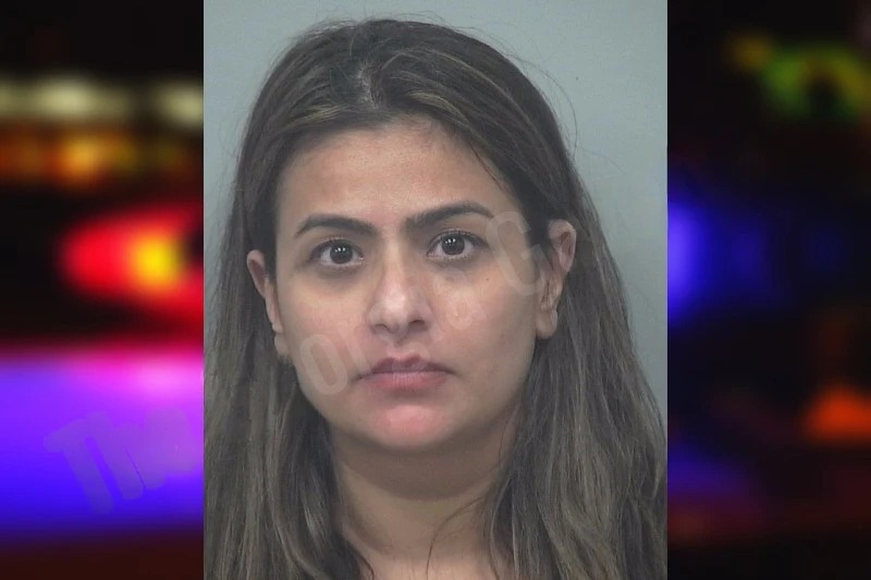 Anupreet Mokha mugshot – Gwinnett County , Georgia Anupreet Mokha mugshot