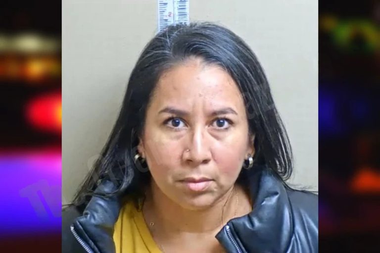 Anyela Moreno-Desedas mugshot – Gwinnett County , Georgia Anyela Moreno-Desedas