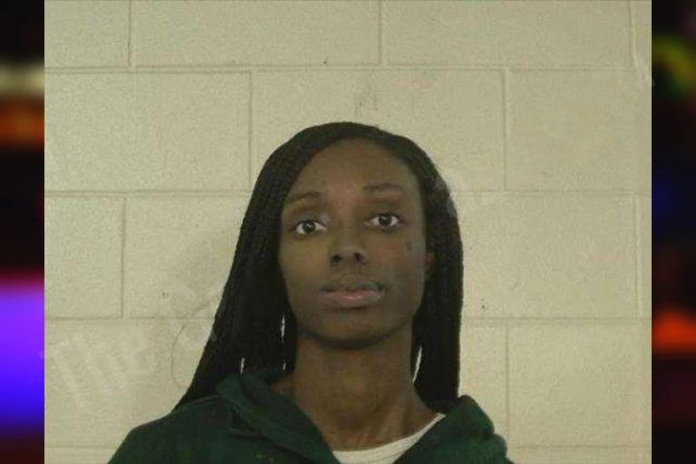 April Dixon mugshot – Liberty County , Georgia April Dixon