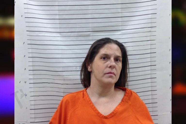 April Stone mugshot – Pickens County , Georgia April Stone