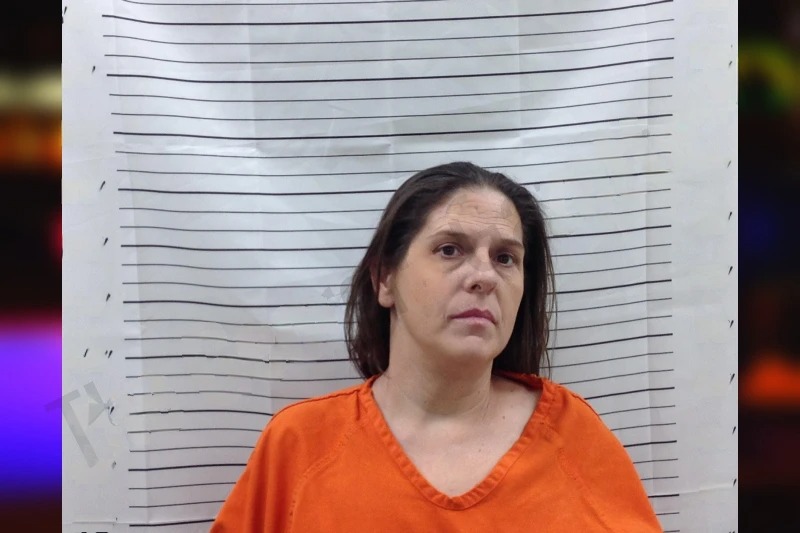April Stone mugshot – Pickens County , Georgia April Stone mugshot