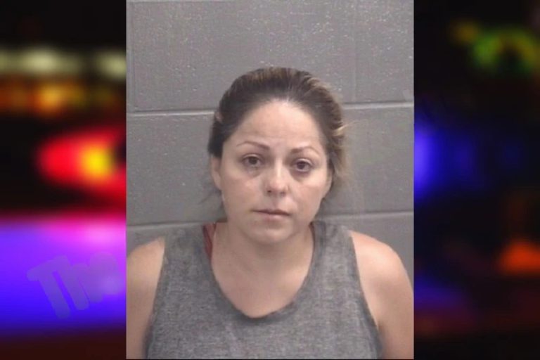 Araceli Castillo-Lopez