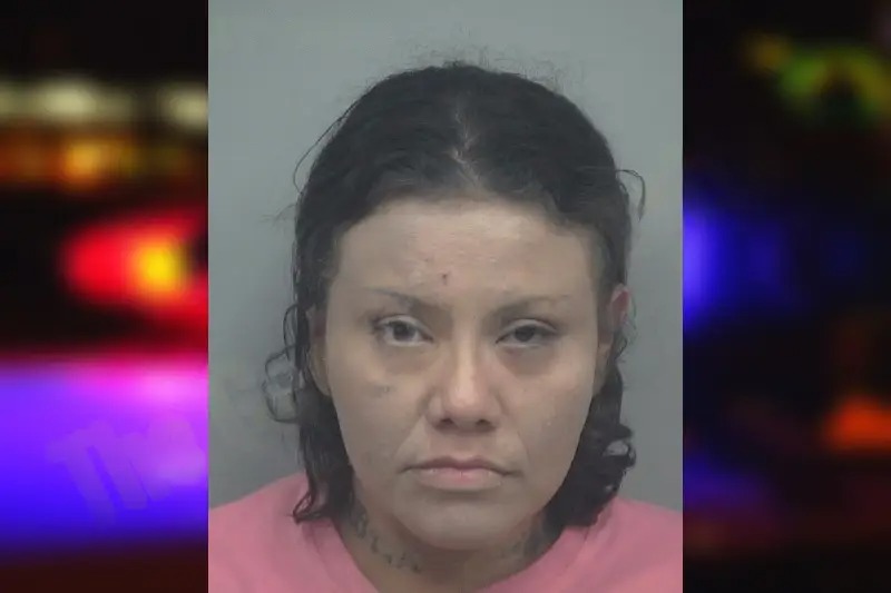 Araceli Hernandez mugshot