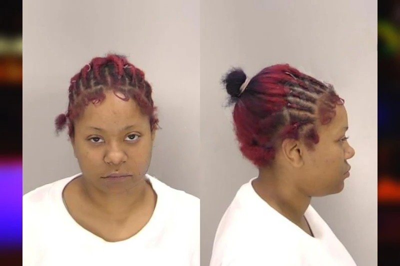 Areasia Hartophilis mugshot