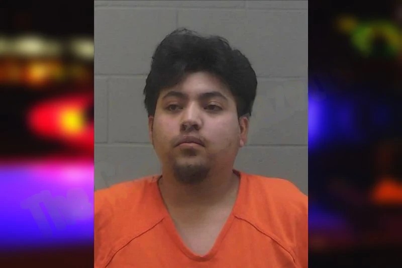 Areli Vilchis-Manzano Mugshots