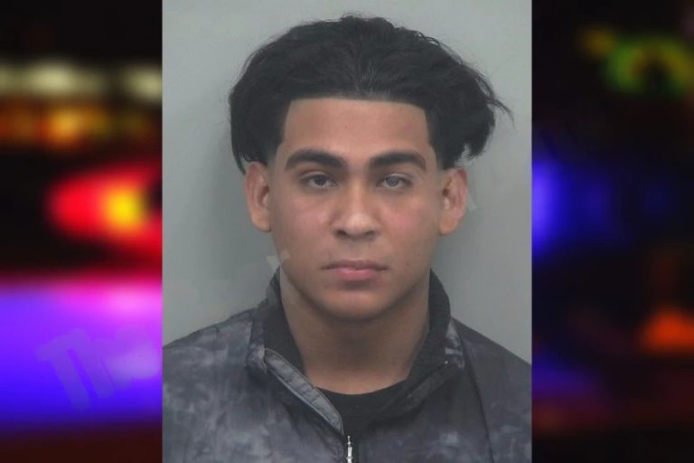 Aron Lopez mugshot – Gwinnett County , Georgia Aron Lopez