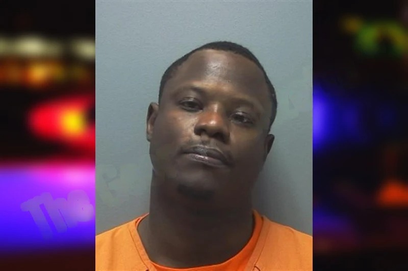 Artemis Patterson mugshot