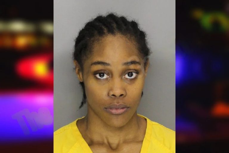 Ashleigh Williams mugshot – Cherokee County , Georgia Ashleigh Williams