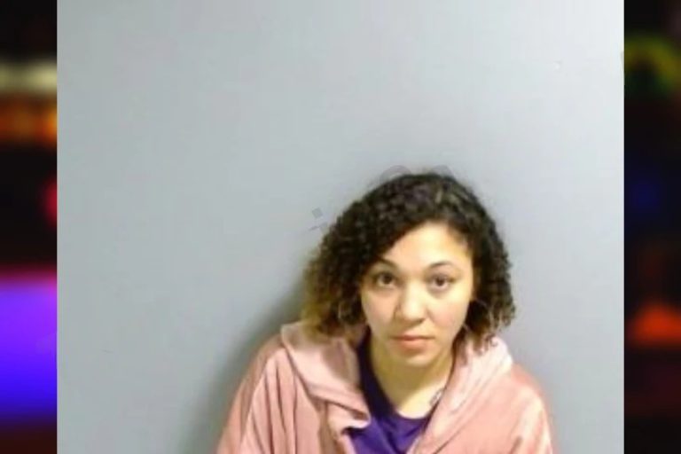 Ashleigh Wise mugshot – Fulton County , Georgia Ashleigh Wise