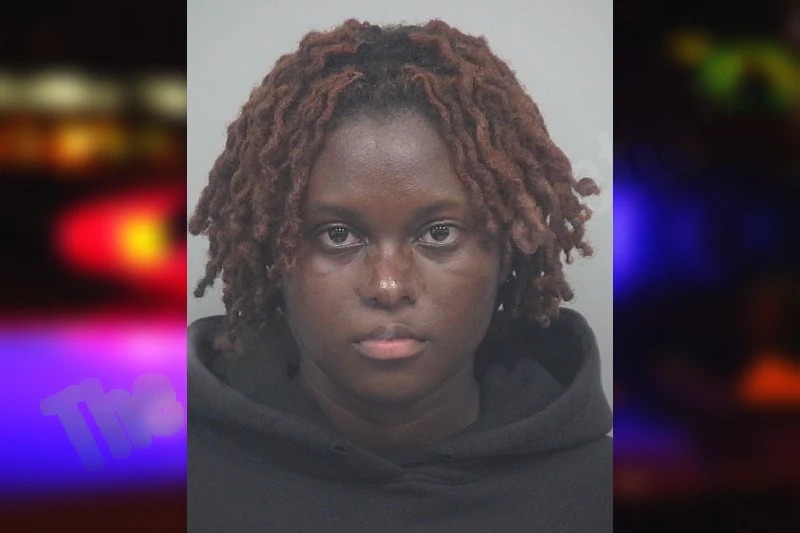 Ashley Adjei Mugshots