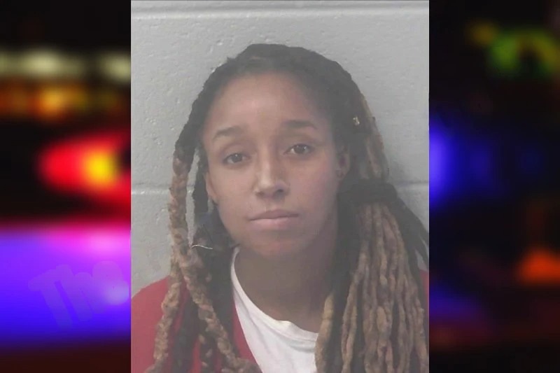 Ashley Brinkley Mugshots