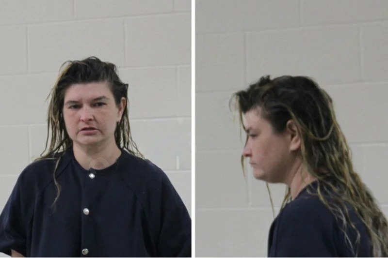 Ashley Holt Mugshots