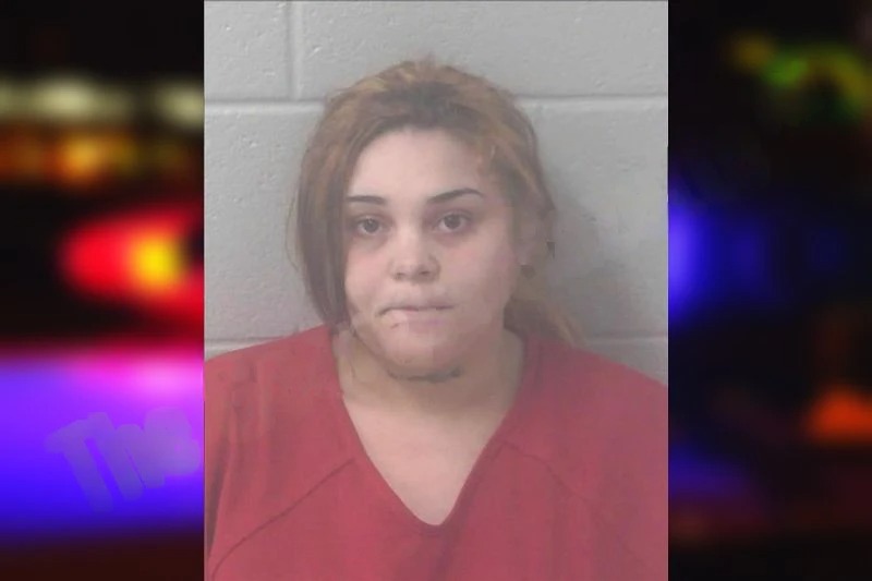 Ashley Mathis Mugshots