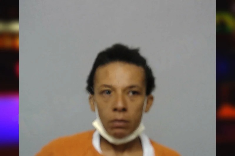 Ashley Ricks Mugshots