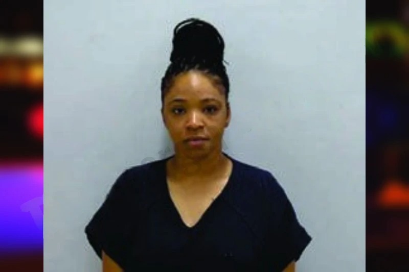 Ashley Watkins Mugshots