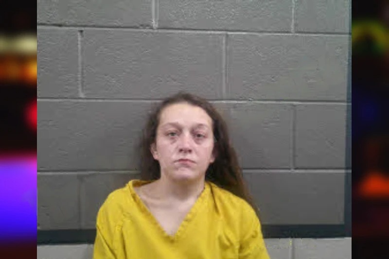 Ashley Willis Mugshots