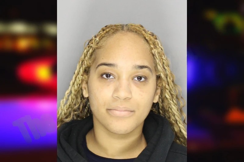 Ashli Carr mugshot – Cobb County , Georgia Ashli Carr mugshot