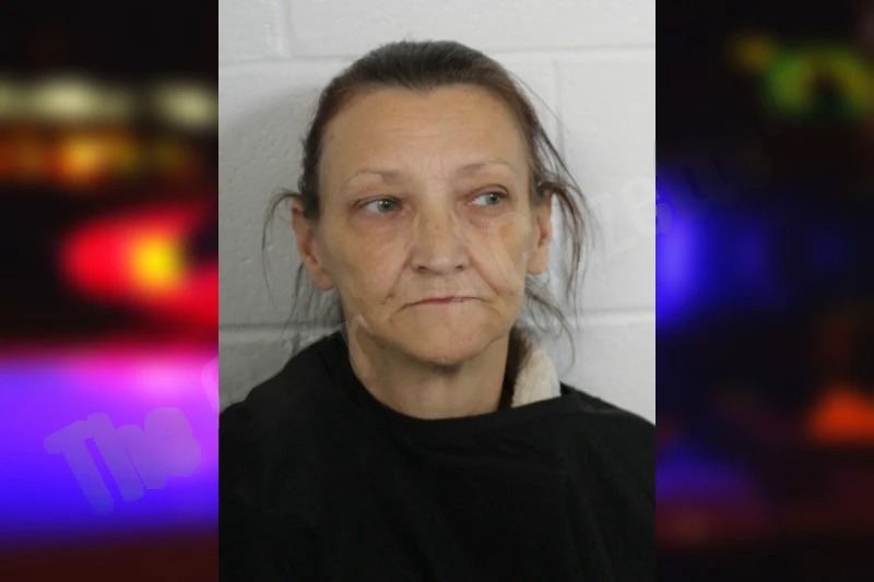 Audrey Ely mugshot – Floyd County , Georgia Audrey Ely mugshot