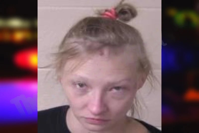 Audrey Hill mugshot – Walker County , Georgia Audrey Hill mugshot