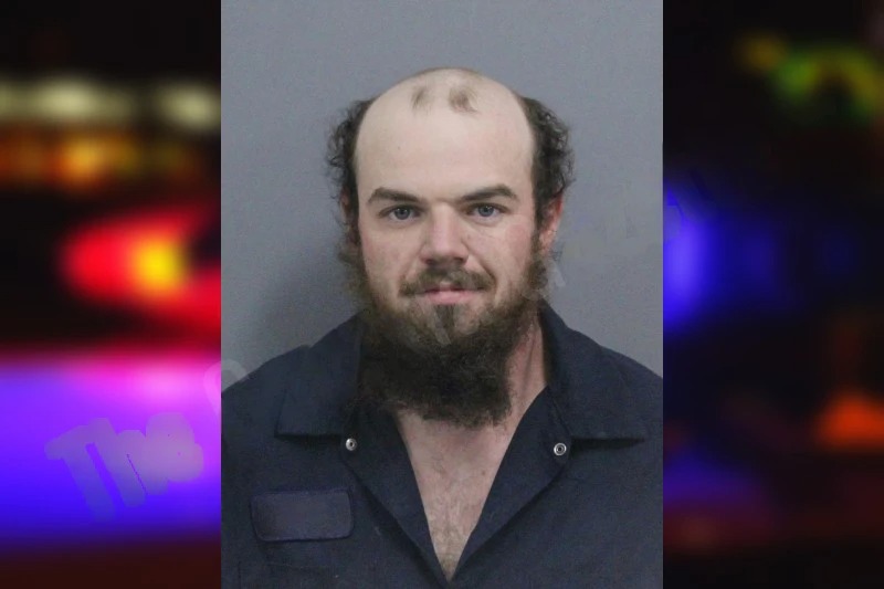 Austin Wilson mugshot