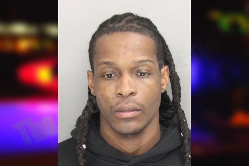 Ayanda Ngwenya mugshot