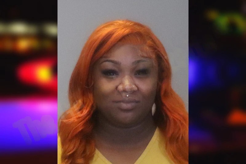 Ayanna Dixon Mugshots