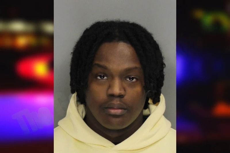 Ayoola Makinde mugshot