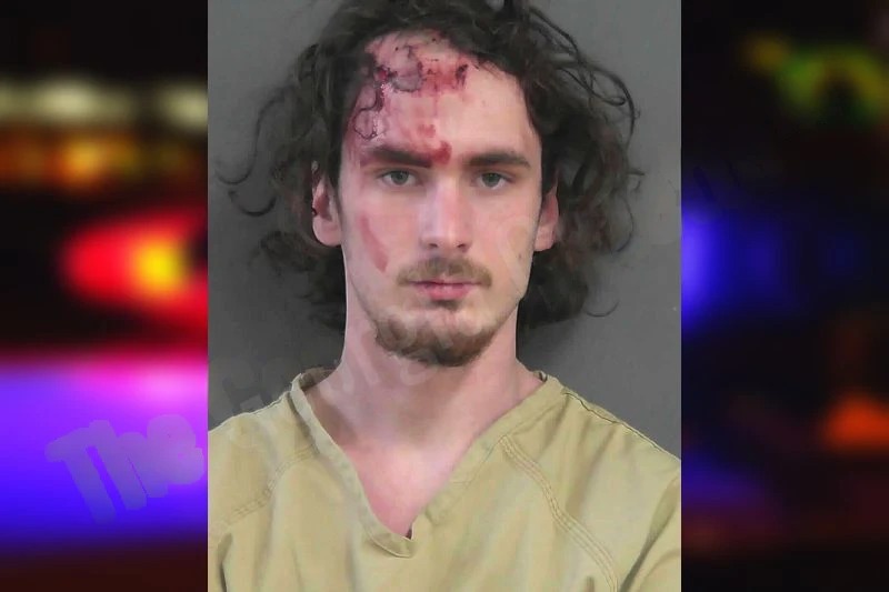 Baily Owens Mugshots