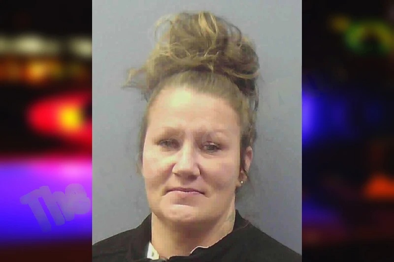 Bambi Bryan Mugshots