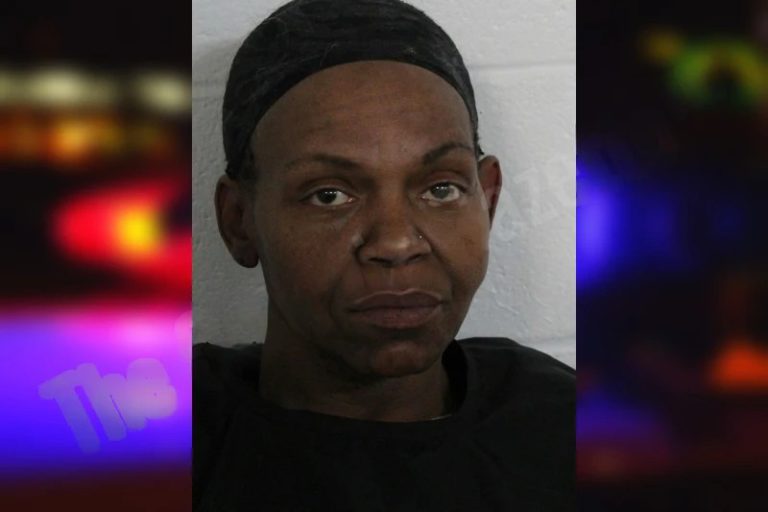 Barbara Heard mugshot – Floyd County , Georgia Barbara Heard