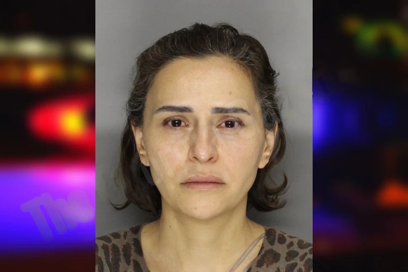 Belgin Aycicek Mugshots