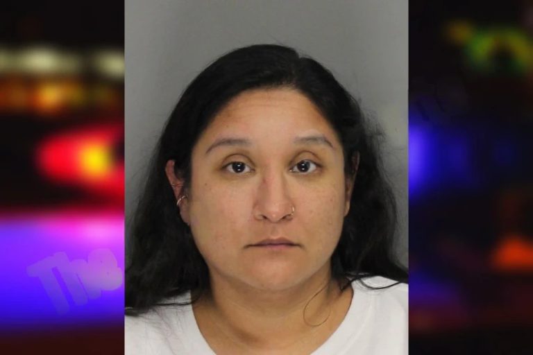 Betsy Collins mugshot – Cobb County , Georgia Betsy Collins