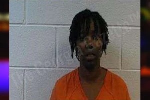 Betty McCain Mugshots