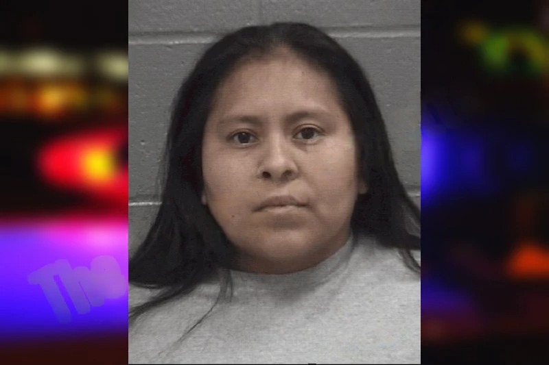 Bibiana Abundis-Mendoza mugshot